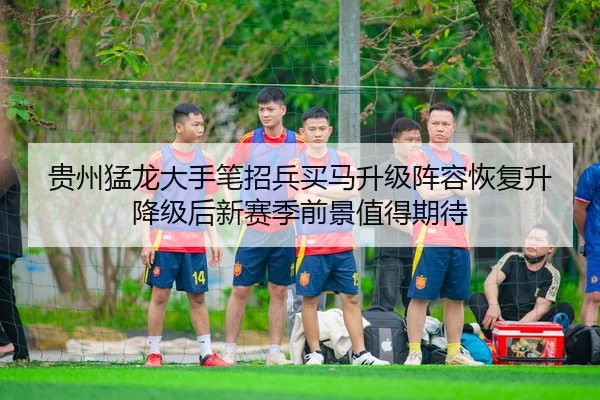 贵州猛龙大手笔招兵买马升级阵容恢复升降级后新赛季前景值得期待（3377app）