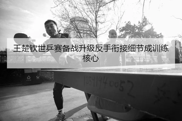 王楚钦世乒赛备战升级反手衔接细节成训练核心（3377app）